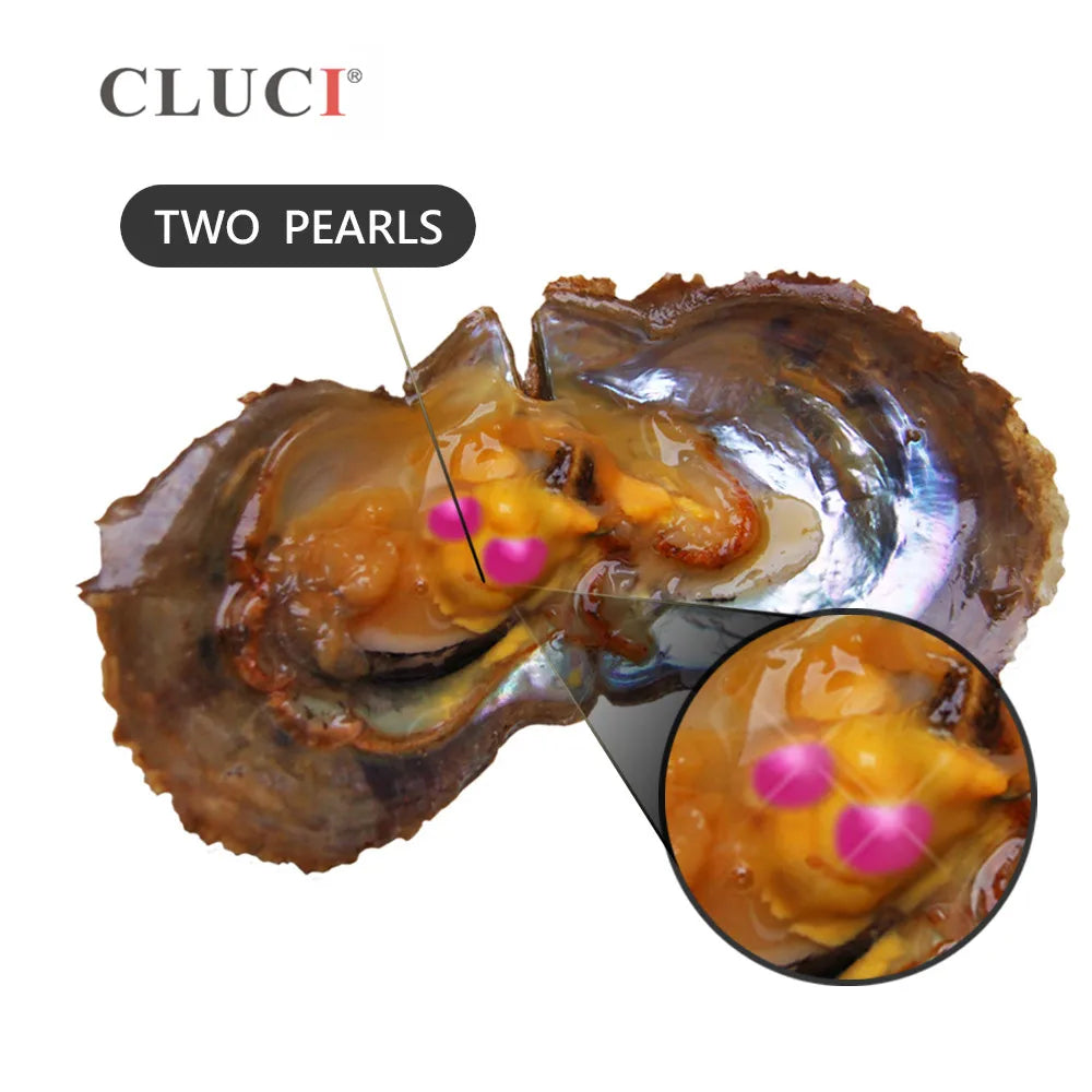 CLUCI 30pcs Twins Akoya Pearl Oysters 6-7mm Quality Mixed 10 Colors Akoya Saltwater Pearl Bead Oysters with Pearls WP267SB