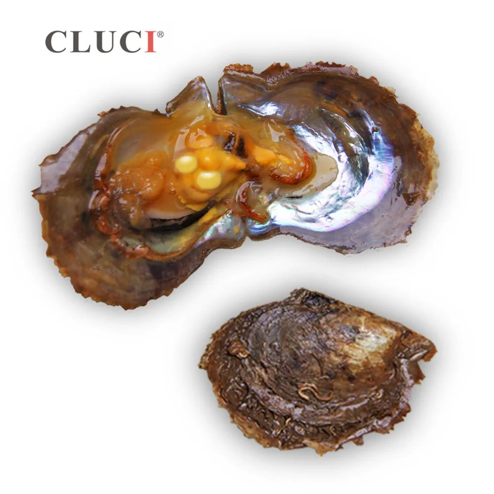 CLUCI 30pcs Twins Akoya Pearl Oysters 6-7mm  Quality Mixed 10 Colors Akoya Saltwater Pearl Bead Oysters with Pearls WP267SB