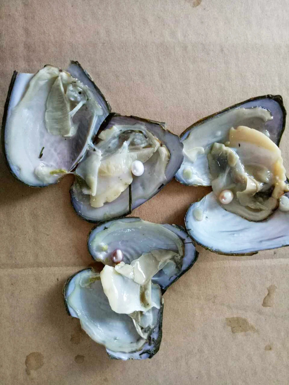 50pcs/Lot Natural Cultured Oyster Freshwater Pearl Mixed Colors Shape for Jewelry Making DIY Handmade Love Wish Gift