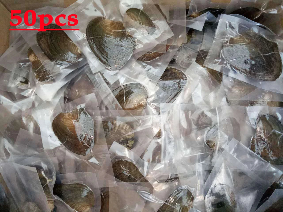 50pcs/Lot Natural Cultured Oyster Freshwater Pearl Mixed Colors Shape for Jewelry Making DIY Handmade Love Wish Gift
